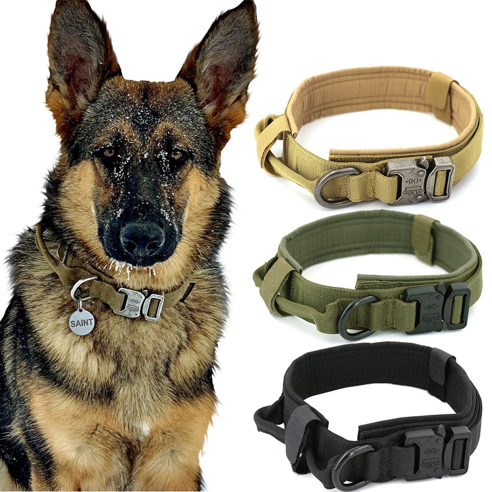 Dog Collar Metrolina Premiere Solutions