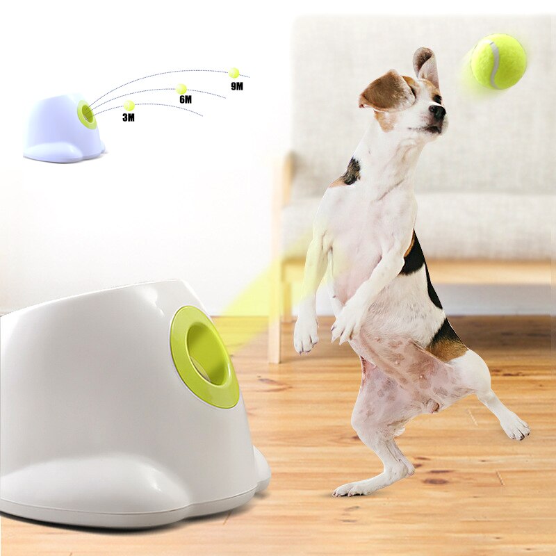 Dog pet Tennis Launcher Metrolina Premiere Solutions