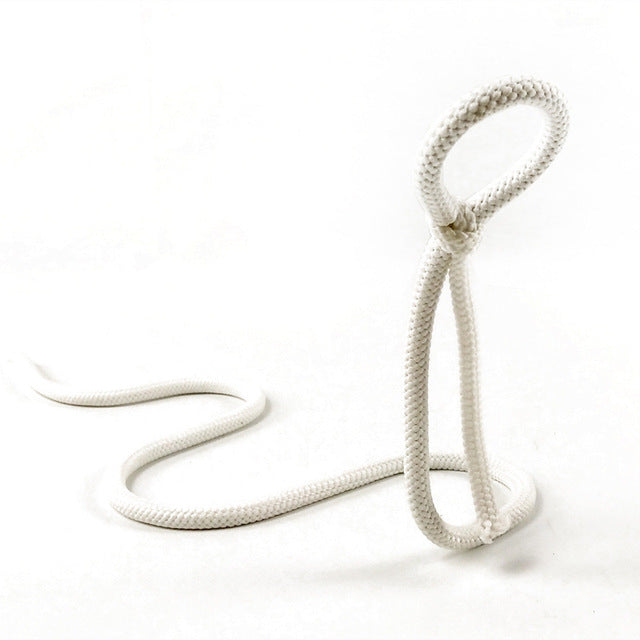 Suspended Rope Wine Bottle Metrolina Premiere Solutions