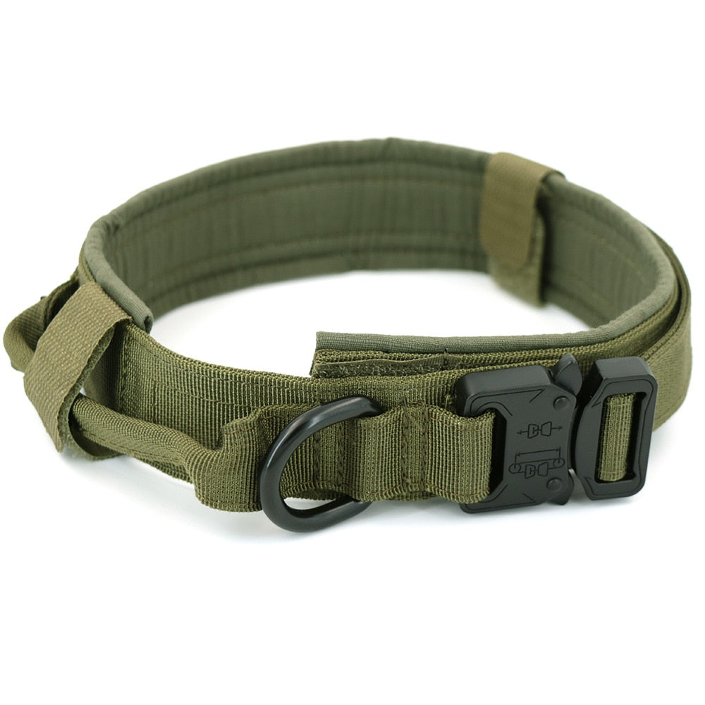 Dog Collar Metrolina Premiere Solutions