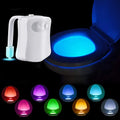 Toilet Night Light Metrolina Premiere Solutions