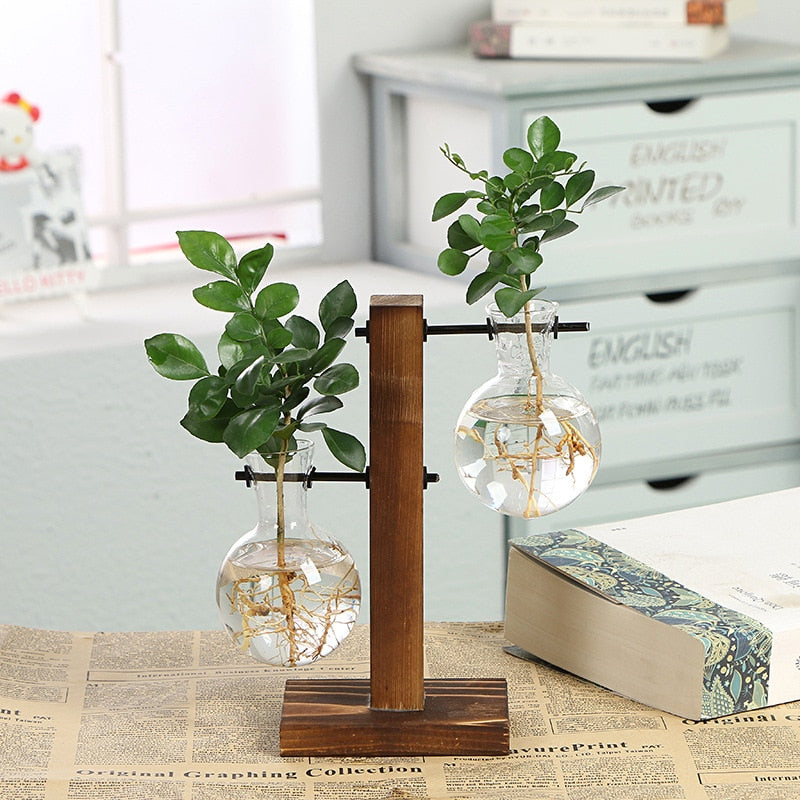 Hydroponic Transparent Plant Vases Metrolina Premiere Solutions