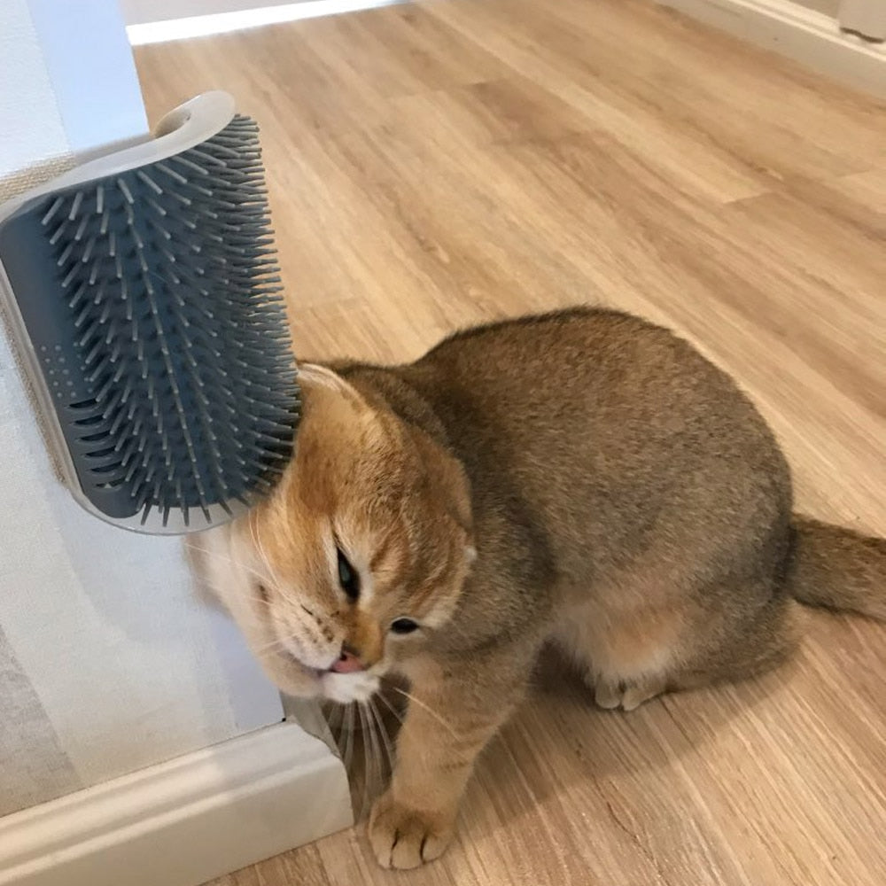 Cat Self Groomer Corner Brush Metrolina Premiere Solutions