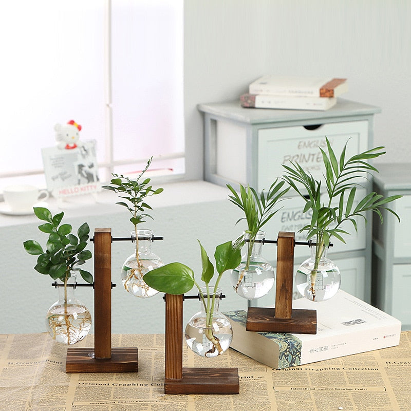 Hydroponic Transparent Plant Vases Metrolina Premiere Solutions