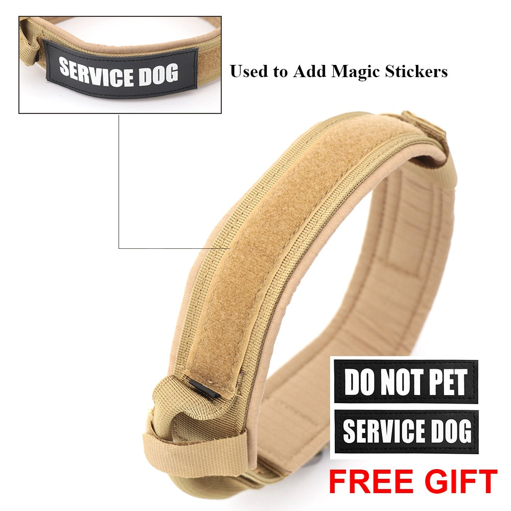 Dog Collar Metrolina Premiere Solutions
