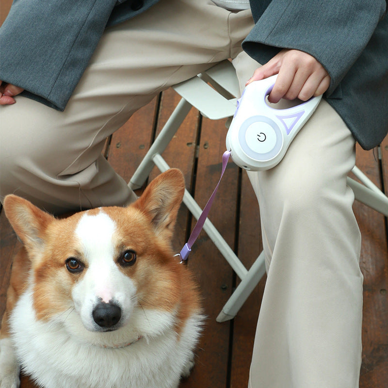 Led Lights Dog Leash Metrolina Premiere Solutions