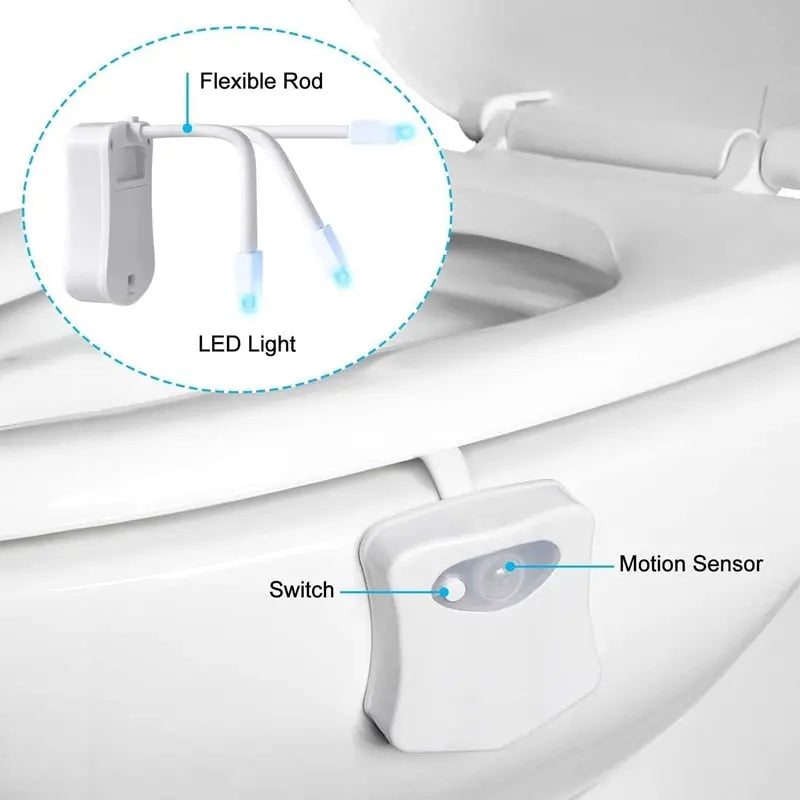 Toilet Night Light Metrolina Premiere Solutions